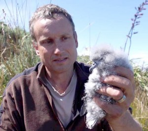 Colin Miskelly, with a feathered friend